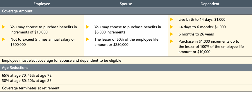 myboydbenefits life add coverage guidelines